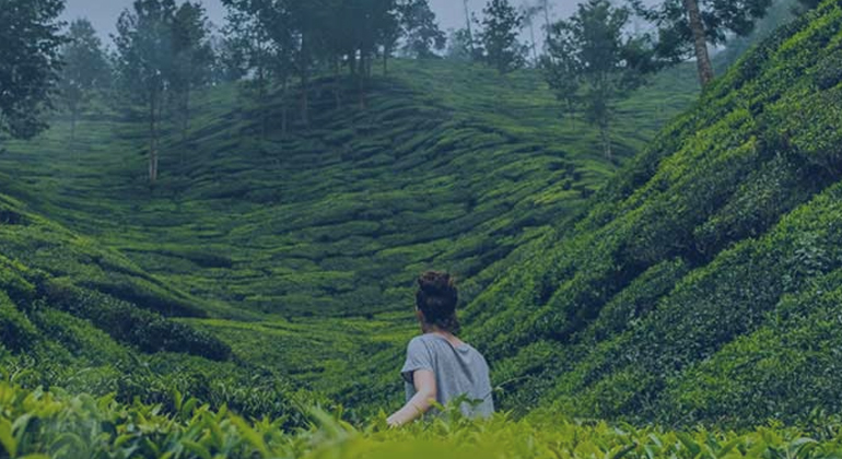 Dream Trips from Kerala: Explore Affordable International Tour Packages You’ll Love